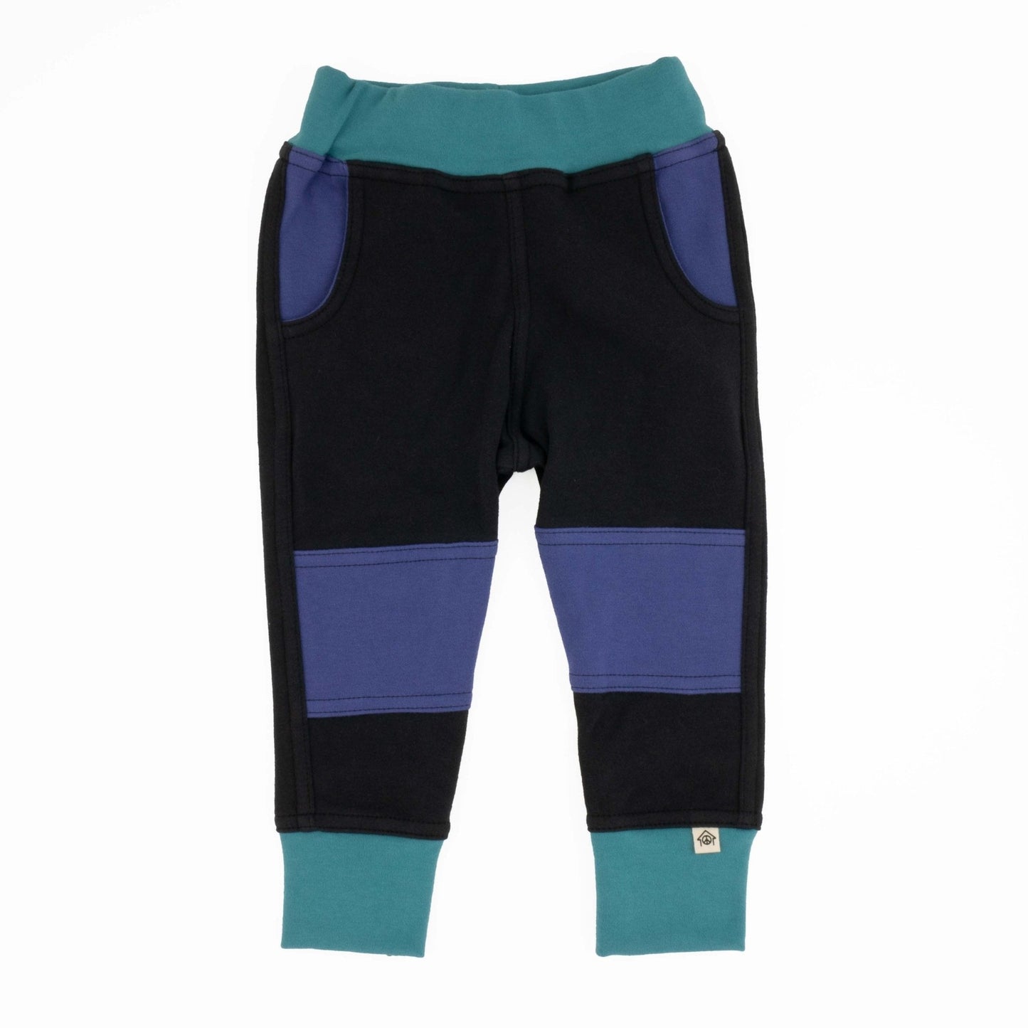 Big Kid Colorblock Joggers - Homeland Harvest