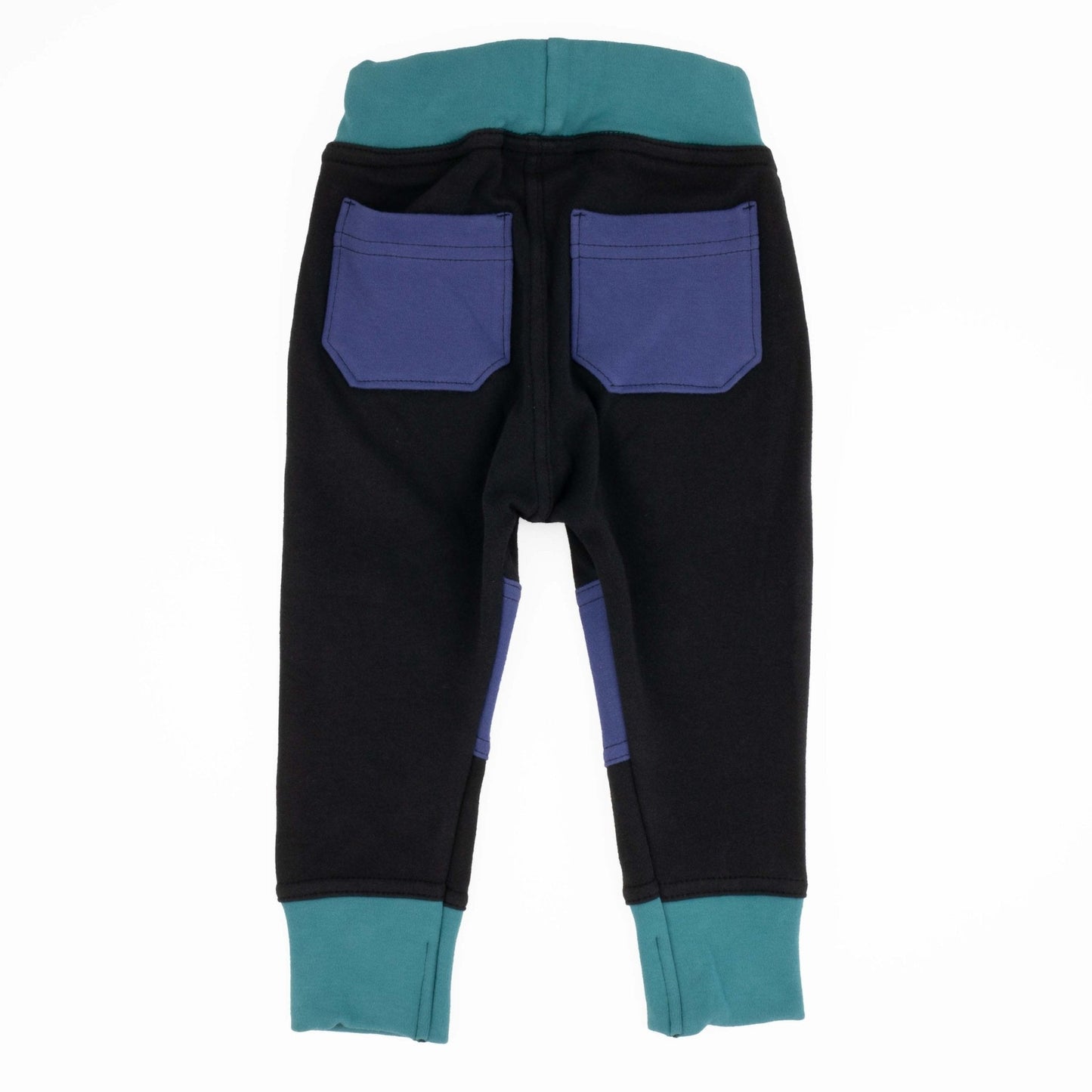 Big Kid Colorblock Joggers - Homeland Harvest