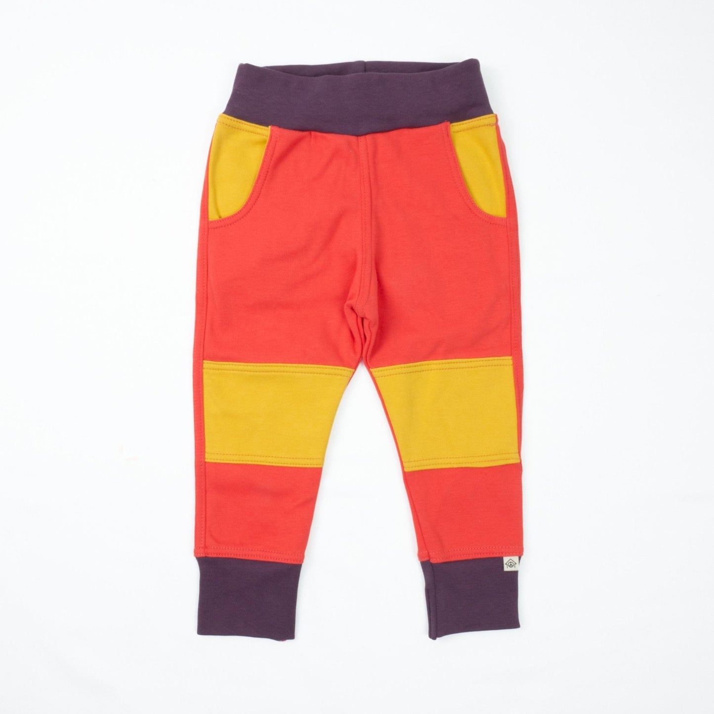 Big Kid Colorblock Joggers - Homeland Harvest
