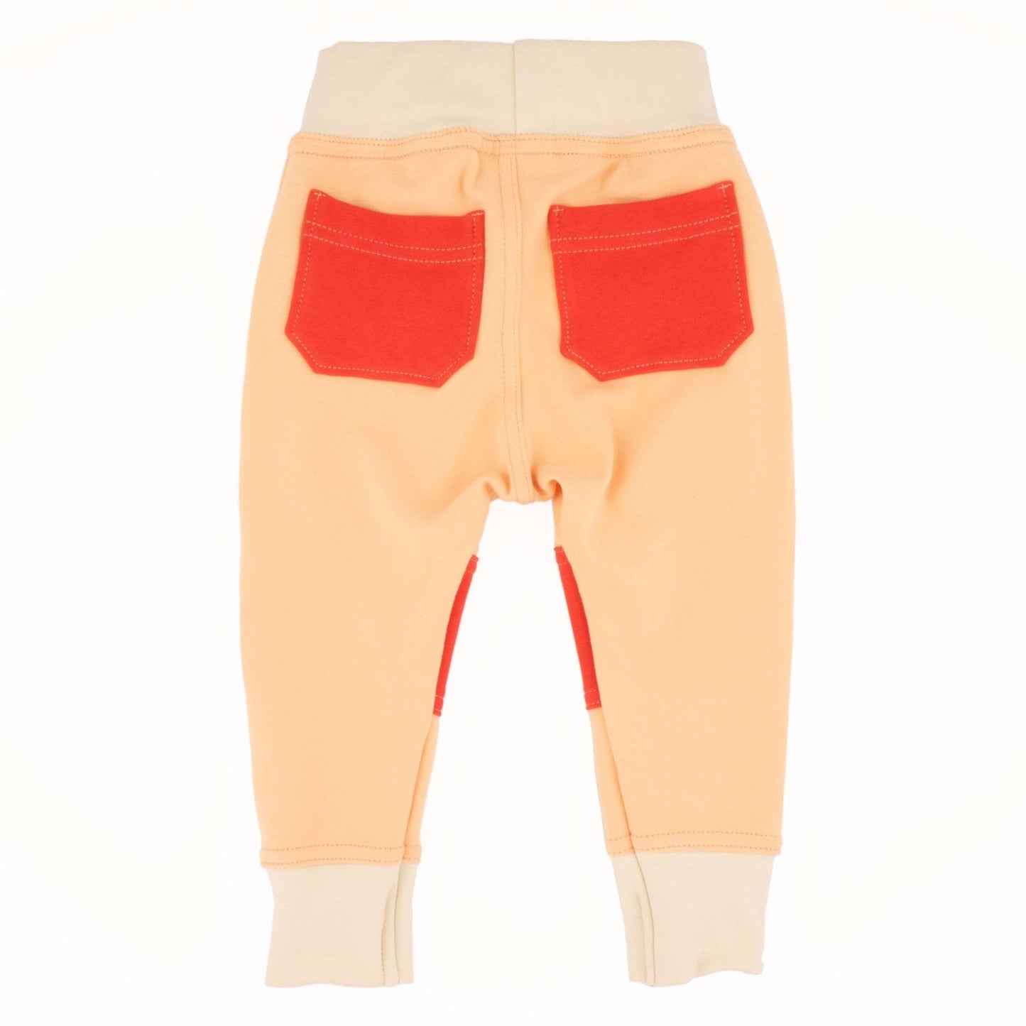 Big Kid Colorblock Joggers - Homeland Harvest