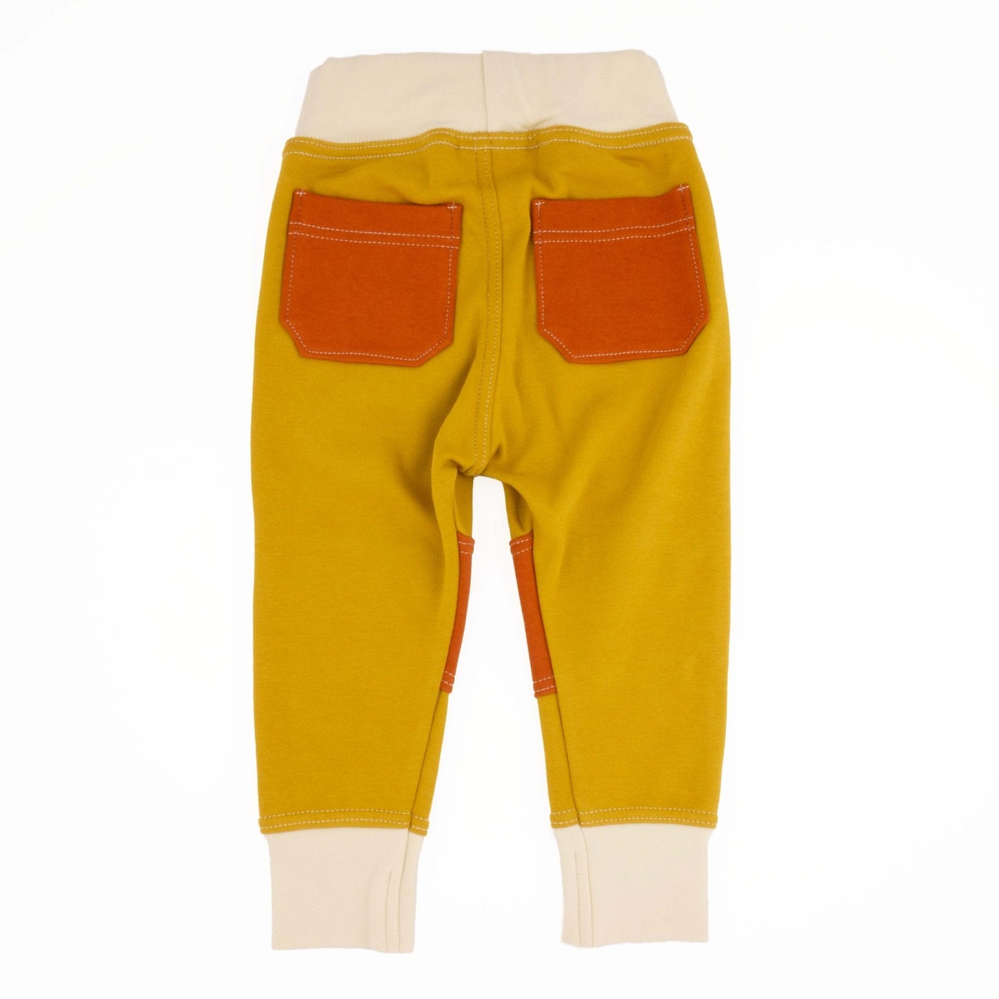 Big Kid Colorblock Joggers - Homeland Harvest