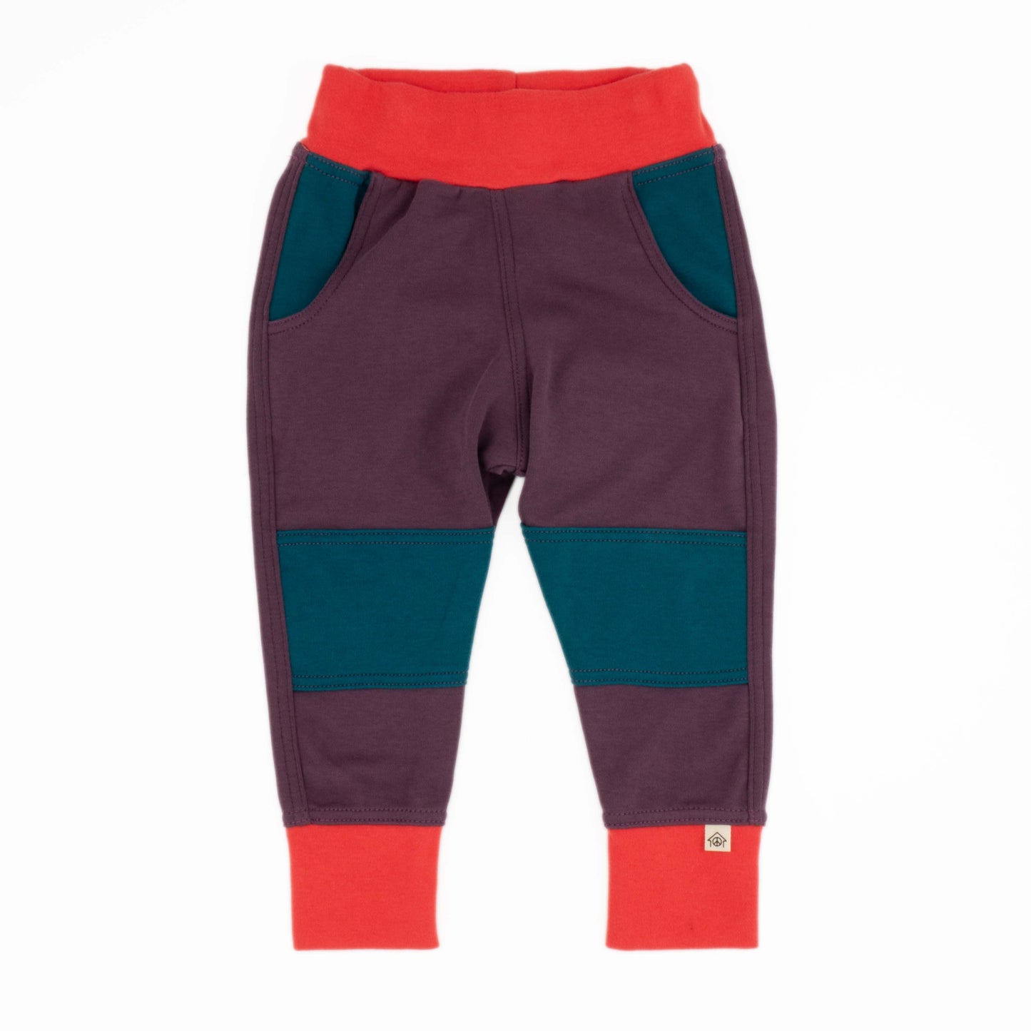 Big Kid Colorblock Joggers - Homeland Harvest