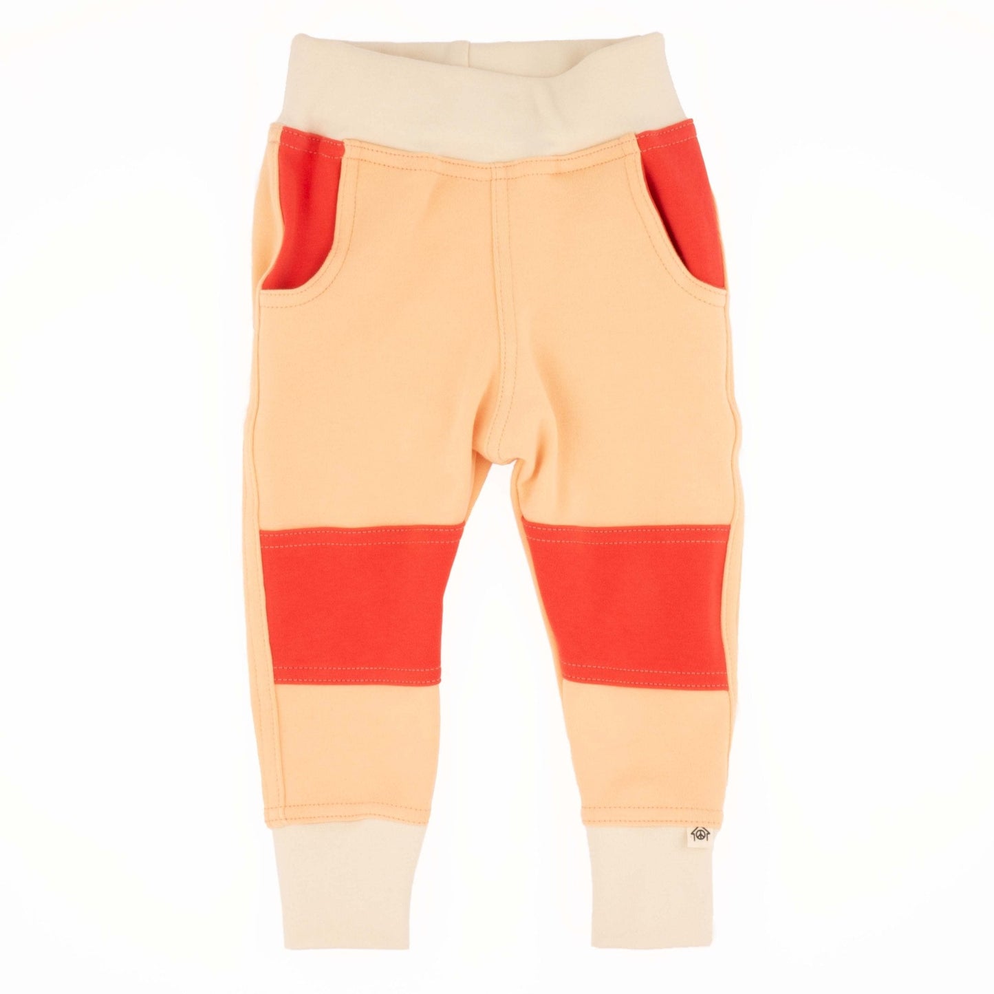 Big Kid Colorblock Joggers - Homeland Harvest