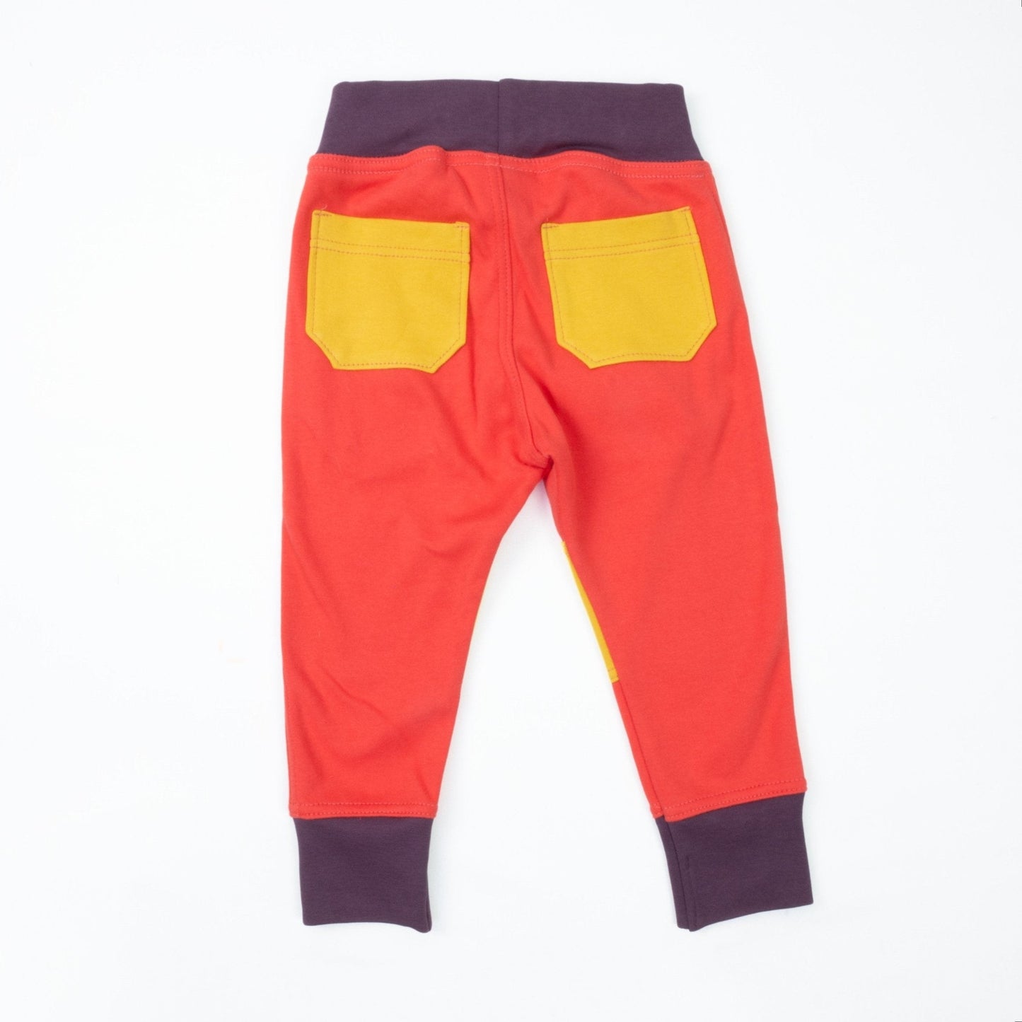 Big Kid Colorblock Joggers - Homeland Harvest