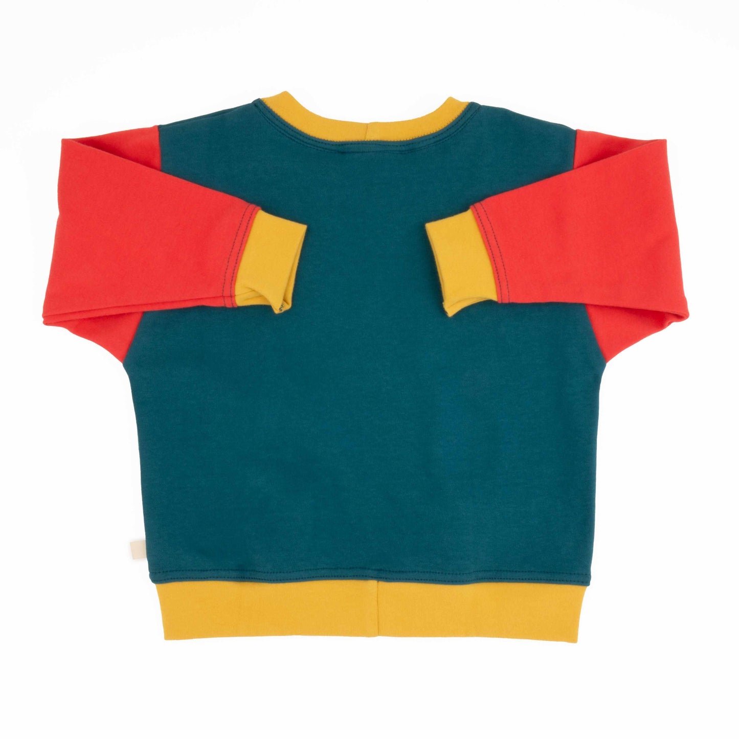 Big Kid Colorblock Sweatshirt - Homeland Harvest