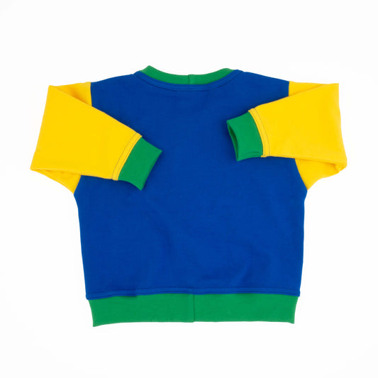 Big Kid Colorblock Sweatshirt - Homeland Harvest