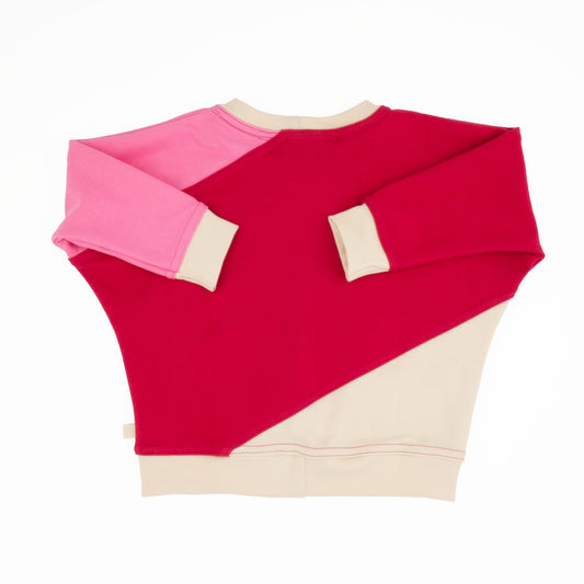 Big Kid Diagonal Colorblock Sweatshirt - Homeland Harvest