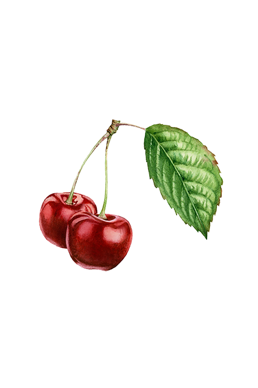 Cherry (Bitter Almond) Essential Oil - Homeland Harvest