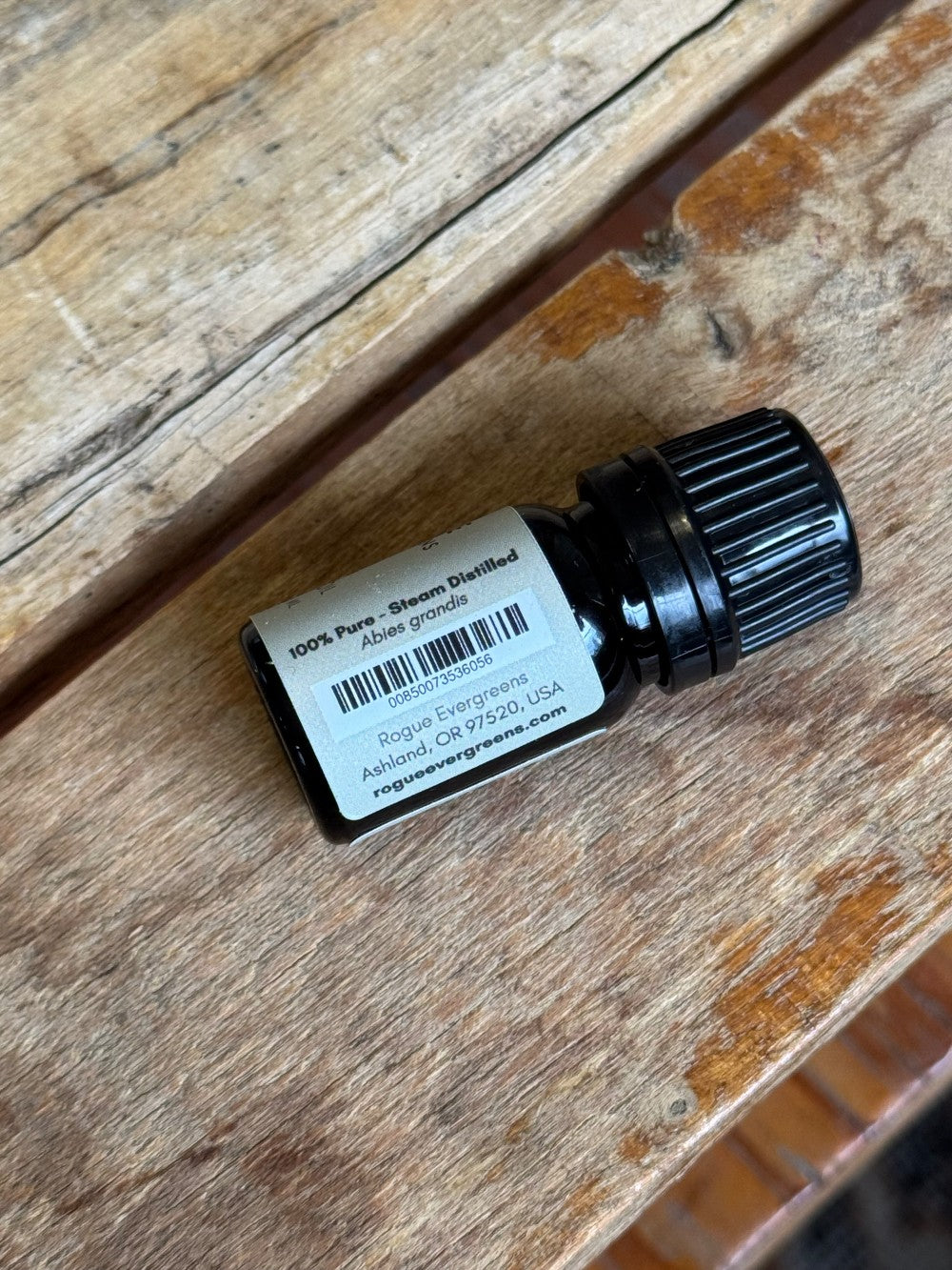Grand Fir Essential Oil - Homeland Harvest