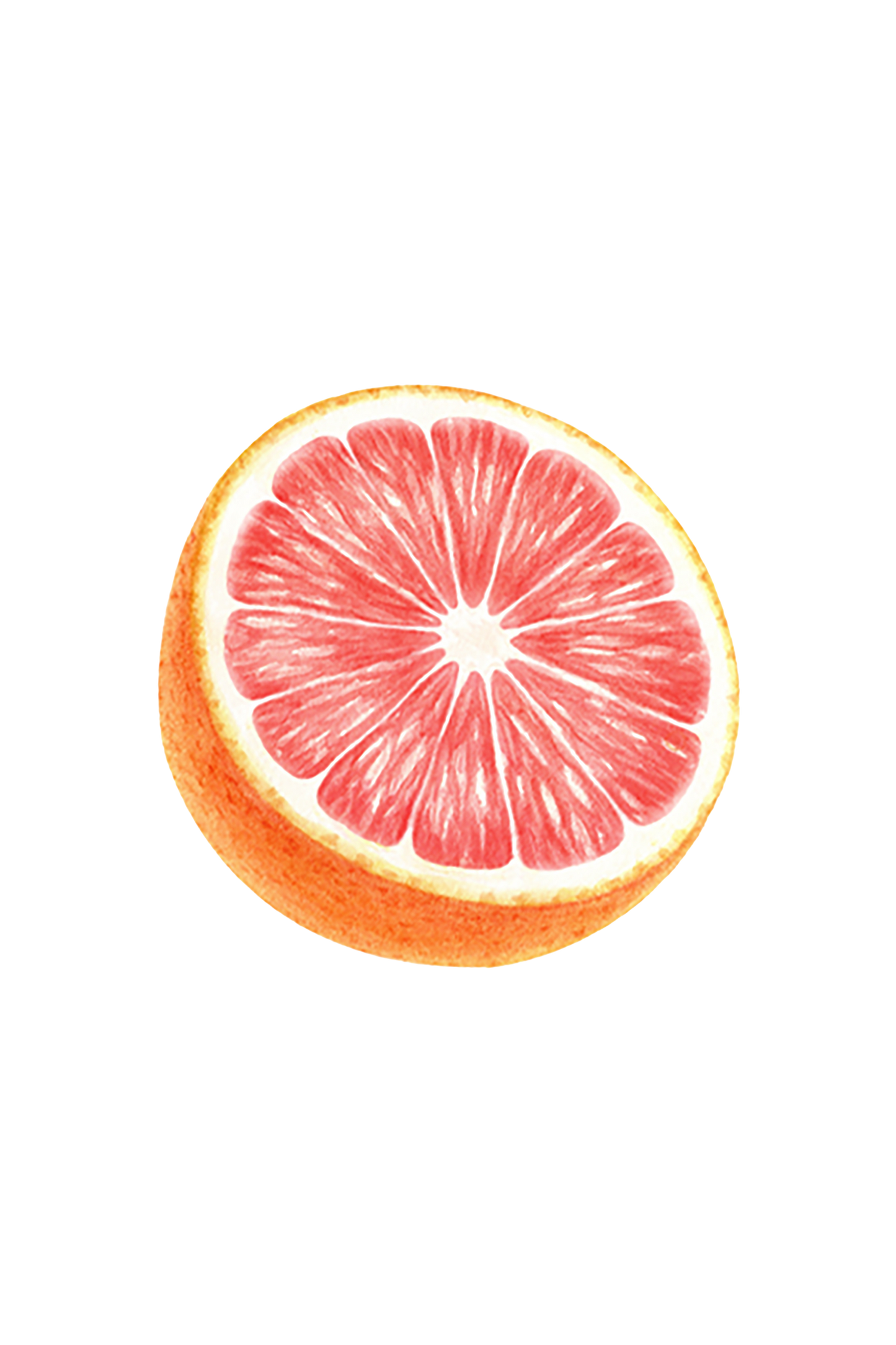 Dish Soap | Pink Grapefruit - Homeland Harvest