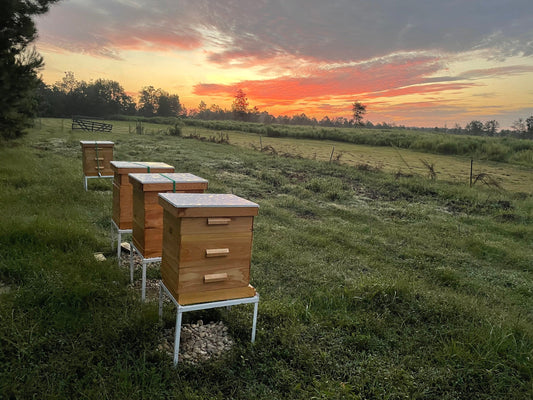 Spreadable Whipped Cream Raw Honey, 9oz glass jar by Lady May Honey Makers
