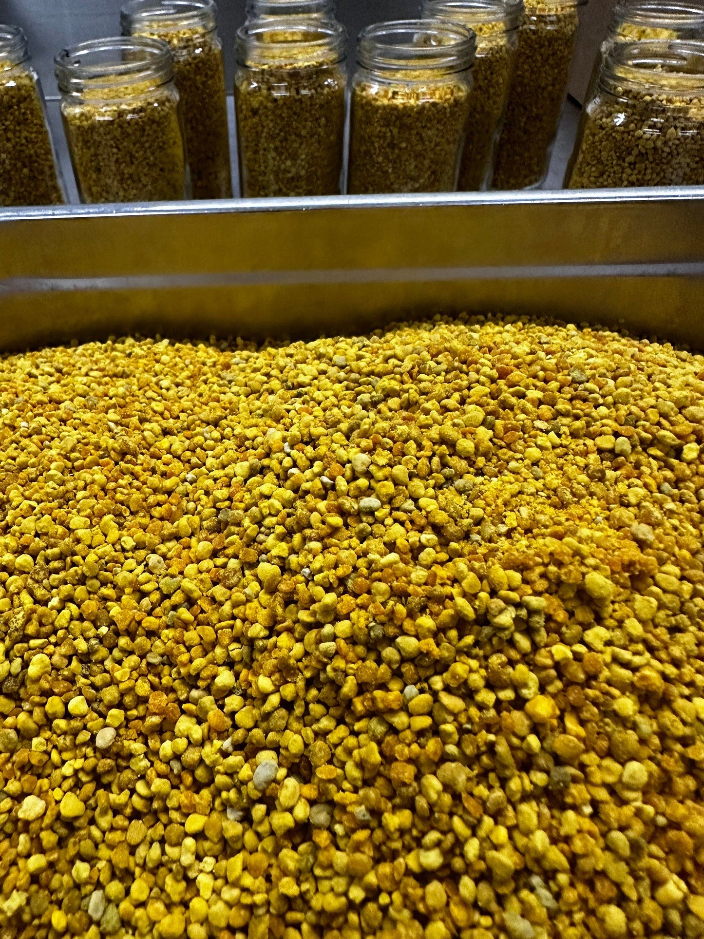 Bee Pollen, 1 Pound All Natural Organic Superfood by the Lady May