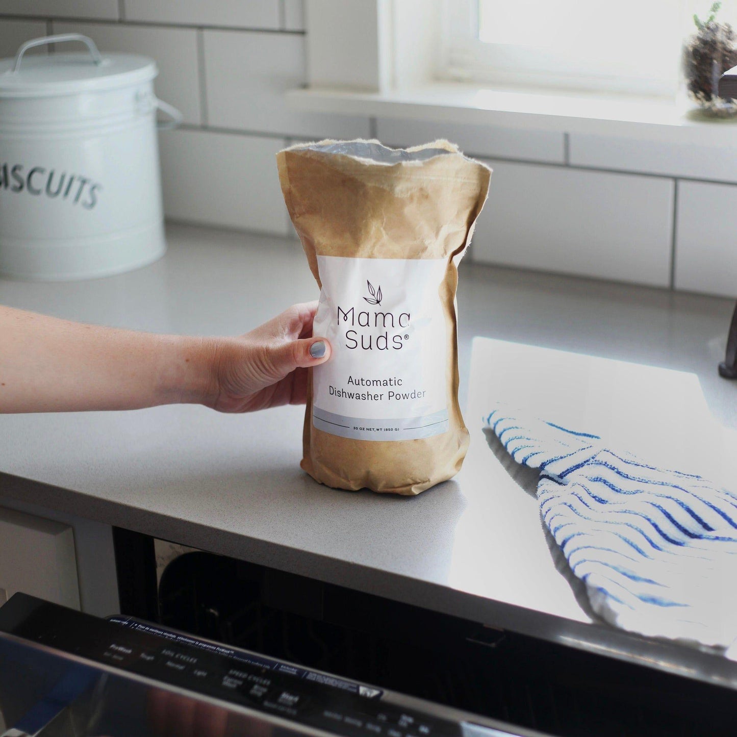 Automatic Dishwasher Powder | Nontoxic and Eco-Friendly - Homeland Harvest