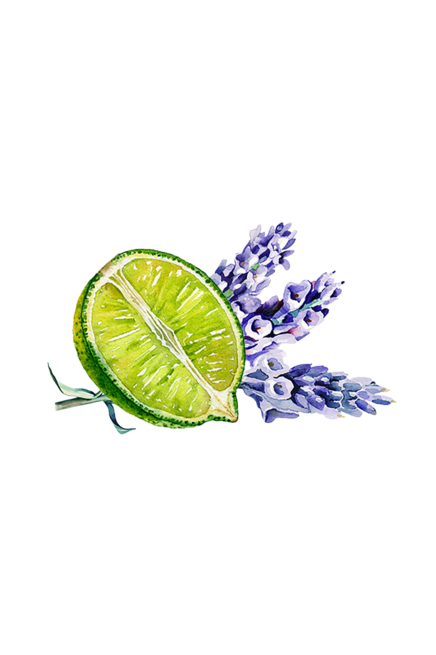 Lavender & Lime Essential Oil Blend - Homeland Harvest