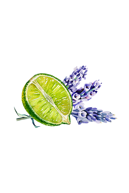 Lavender & Lime Essential Oil Blend - Homeland Harvest