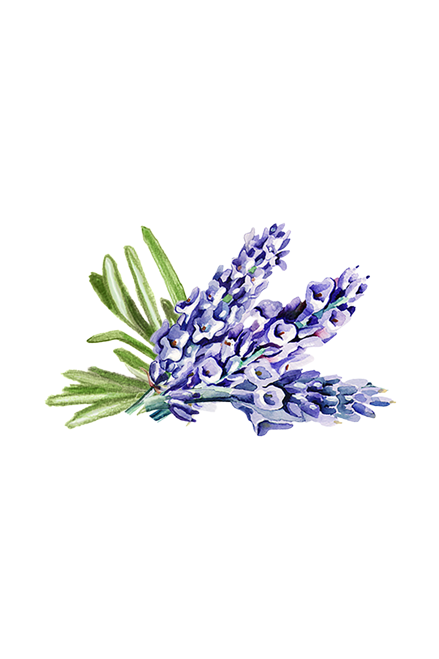 Hand Soap | Soothing Herbs - Homeland Harvest