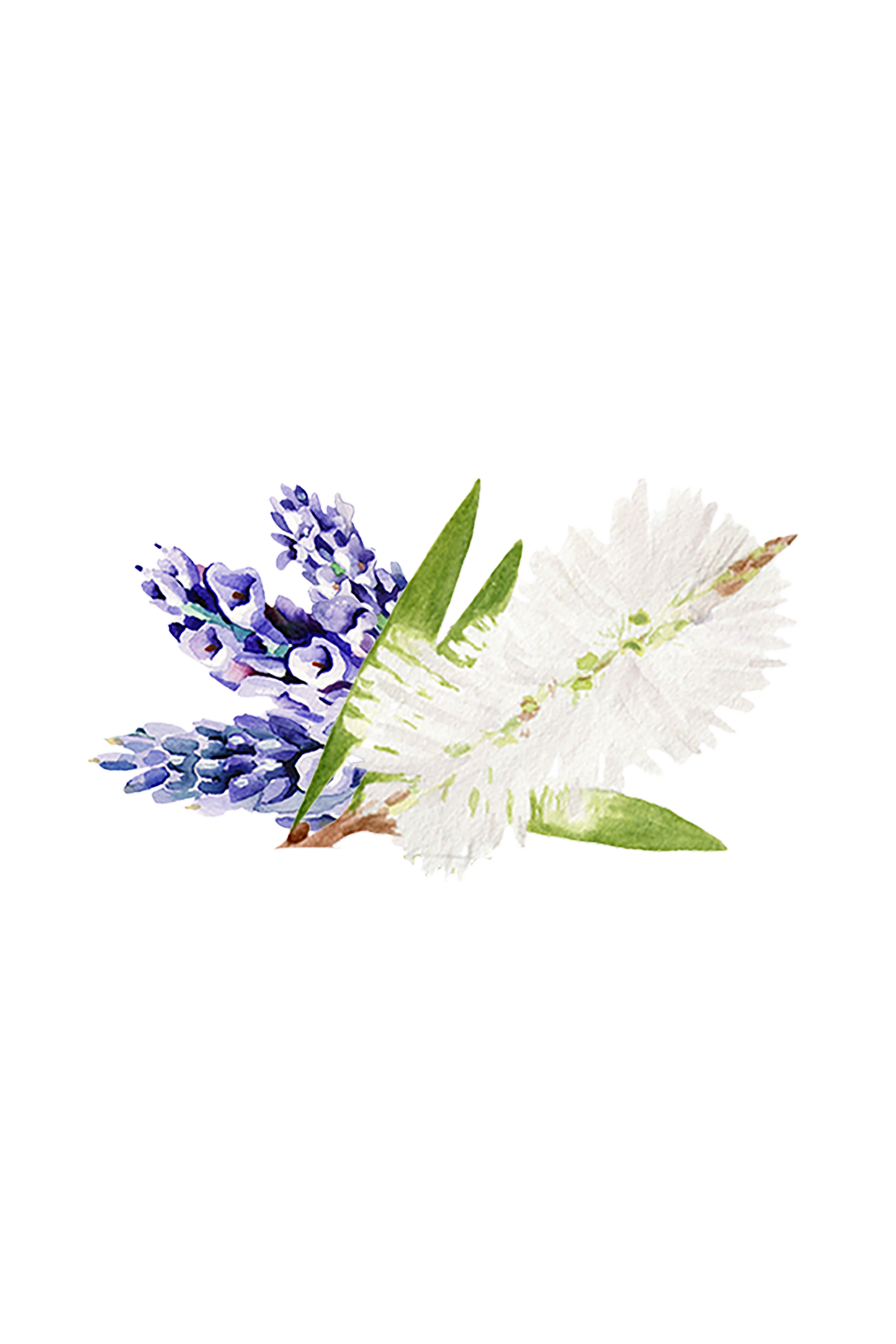 Lavender & Tea Tree Essential Oil Blend - Homeland Harvest