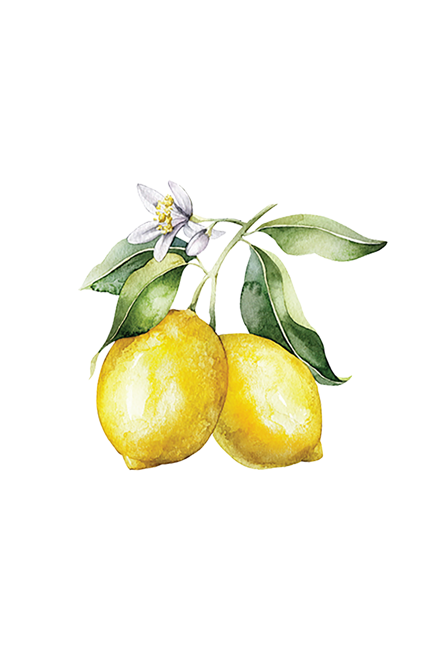 Lemon Essential Oil - Homeland Harvest