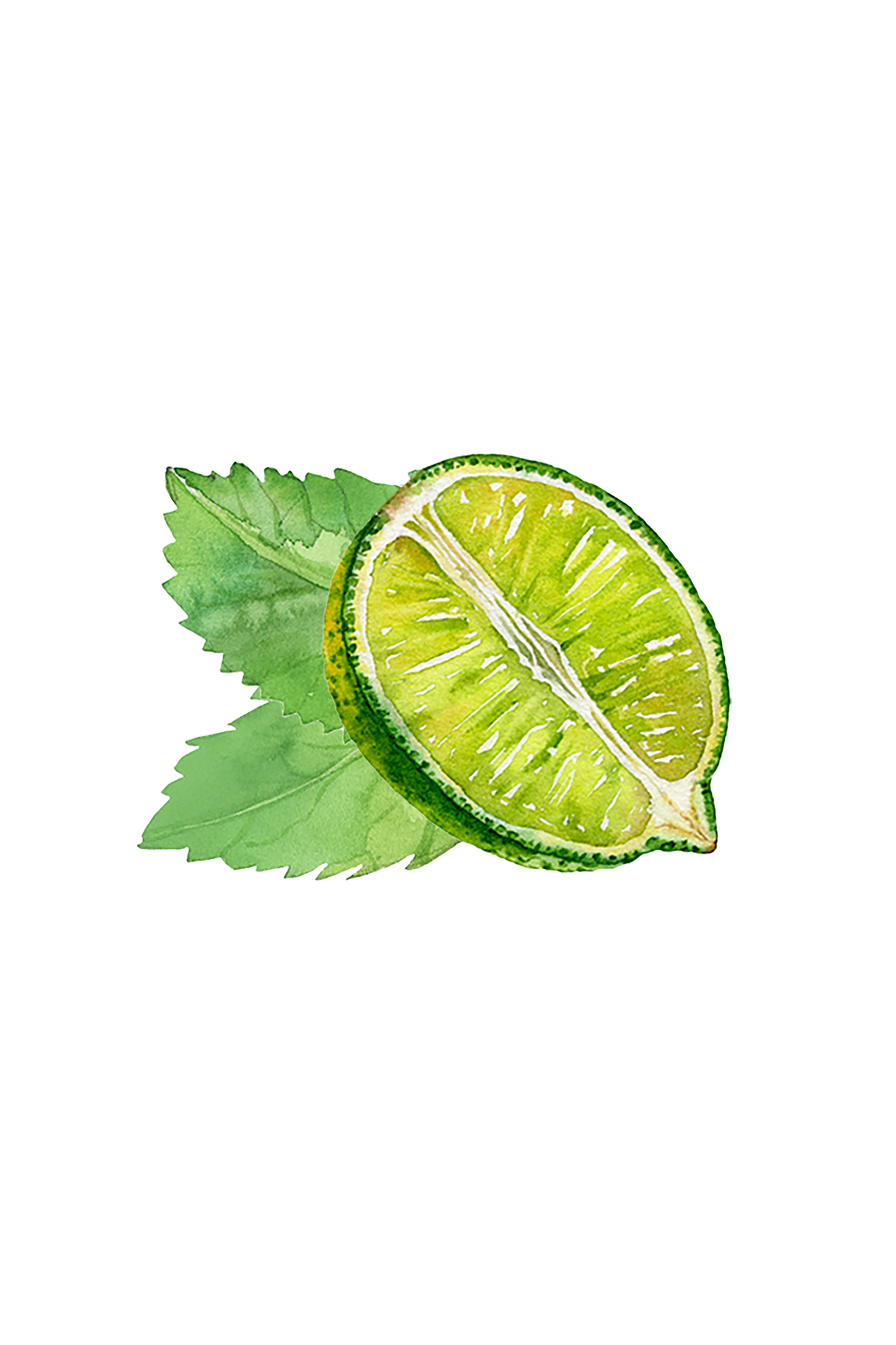 Mint & Lime Essential Oil Blend - Homeland Harvest