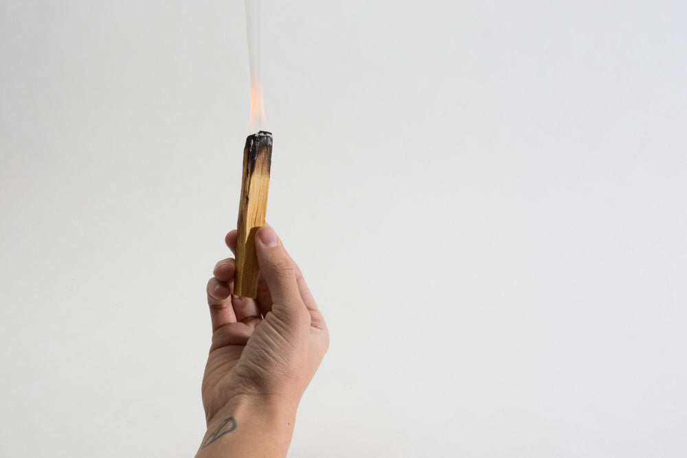 Palo Santo - Homeland Harvest