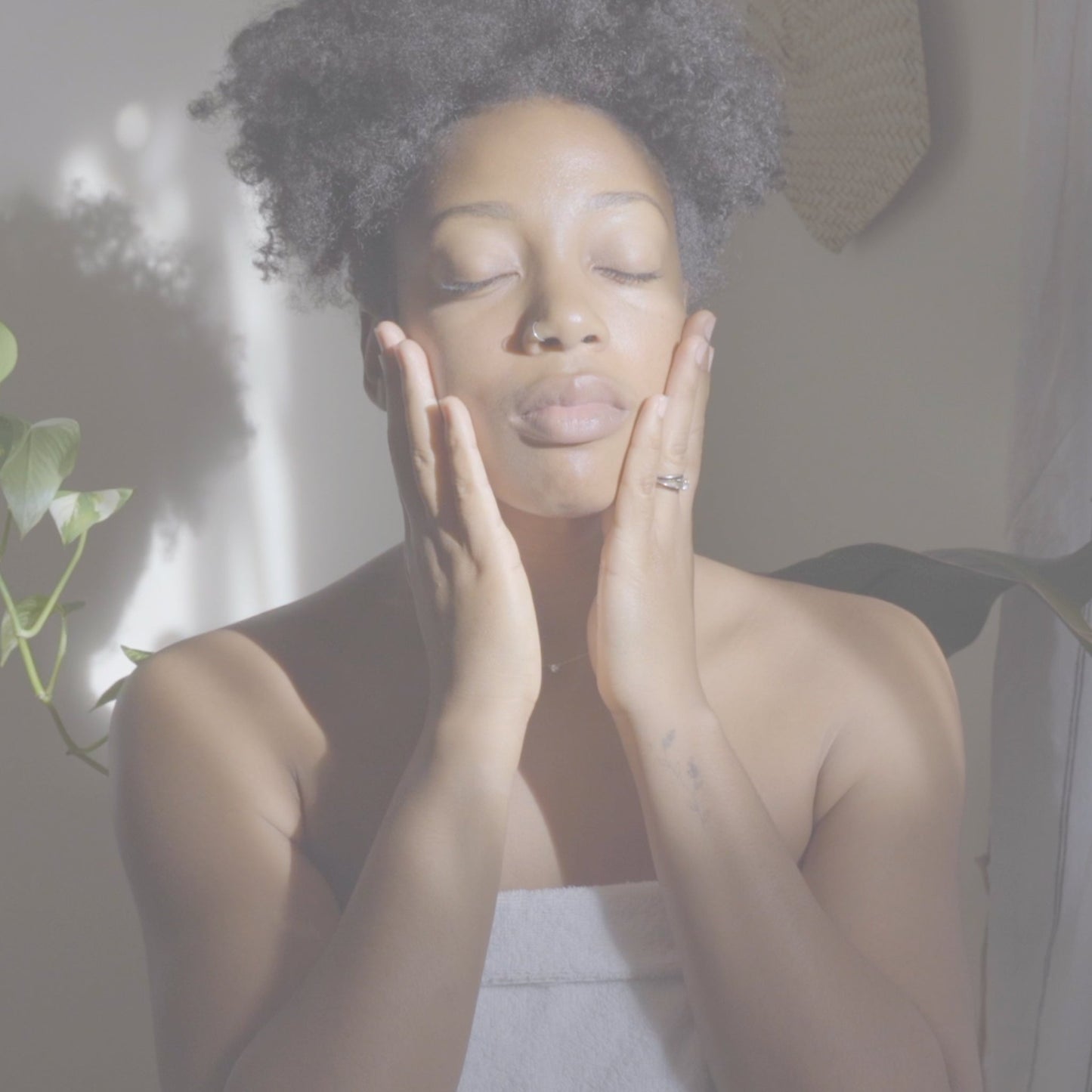 Activated Night Serum - Retinol Alternative- Collective - Homeland Harvest