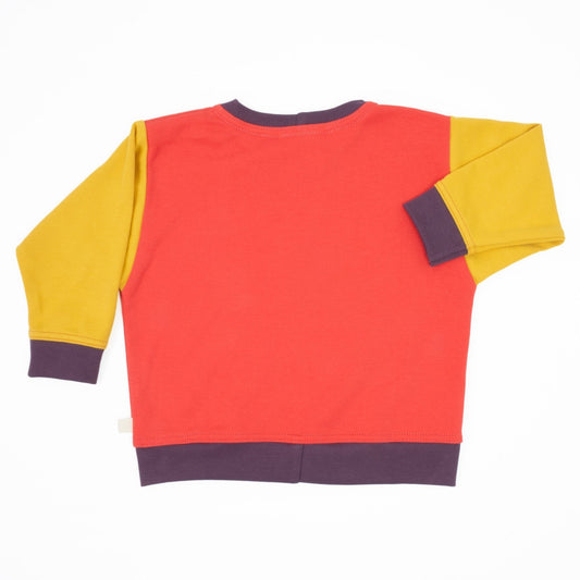 Toddler Colorblock Sweatshirt - Homeland Harvest