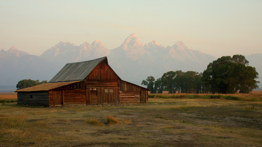 What We Don’t Allow (and What We Do) at Homeland Harvest – Toxin-Free, American-Made Products