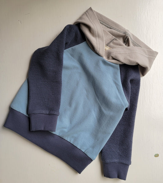 Kids Colorblock hoodies - Homeland Harvest