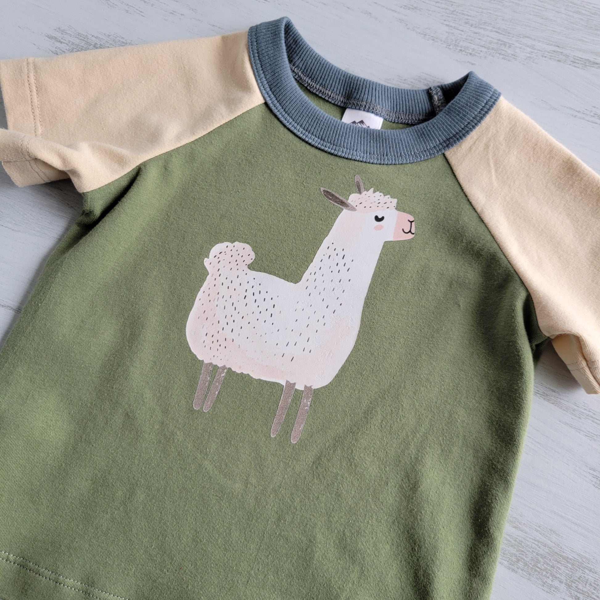 Green - Kids Animals Tshirt - Organic American made Cotton - Homeland Harvest