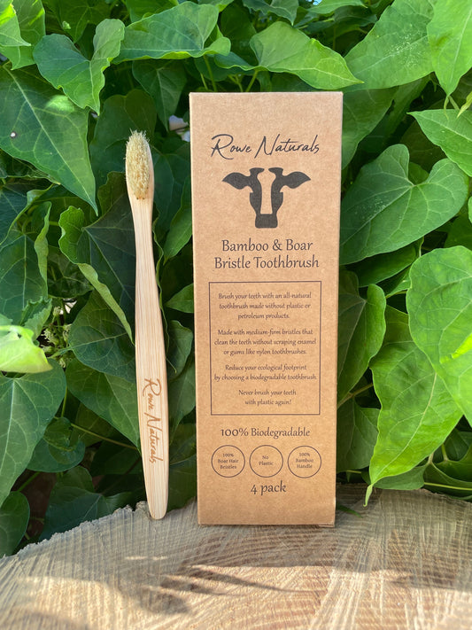 Bamboo and Boar Bristle Toothbrush - Homeland Harvest