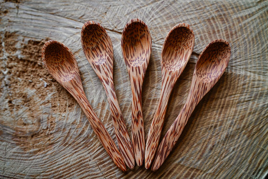 Coconut Baby Spoons - Homeland Harvest
