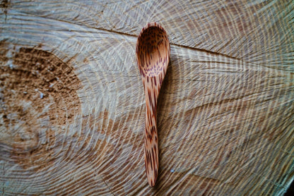 Coconut Baby Spoons - Homeland Harvest