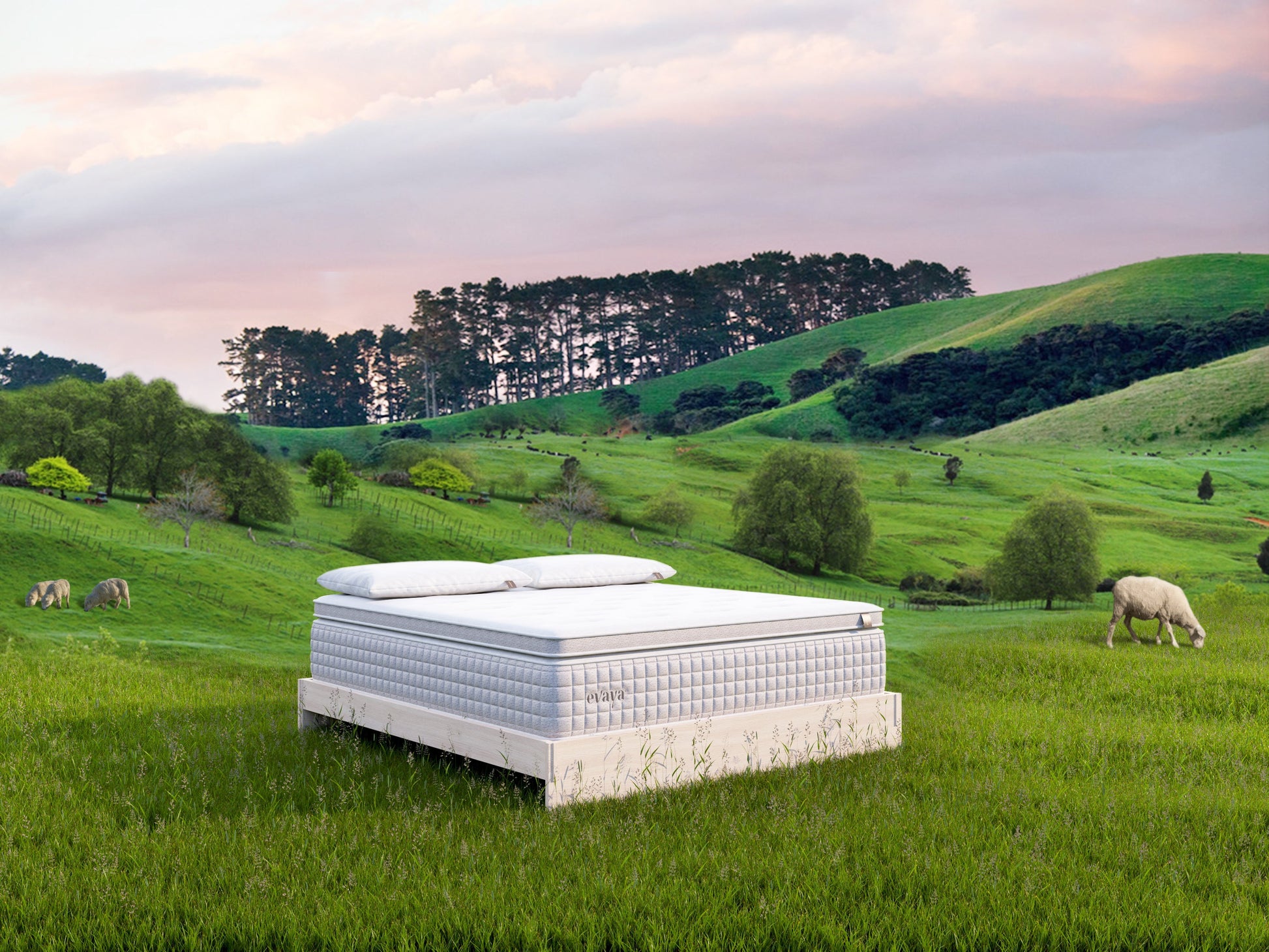 Evaya® Original Mattress with PillowTopper - Homeland Harvest