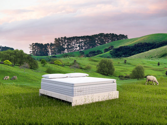 Evaya® Original Mattress with PillowTopper - Homeland Harvest
