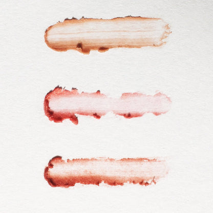 Set of 3 Tinted Vegan Lip Balms - Homeland Harvest