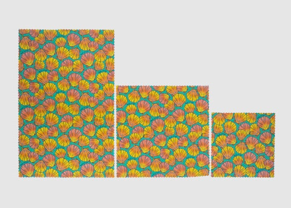 Beeswax Food Wrap - Sunrise Shell Print - Homeland Harvest