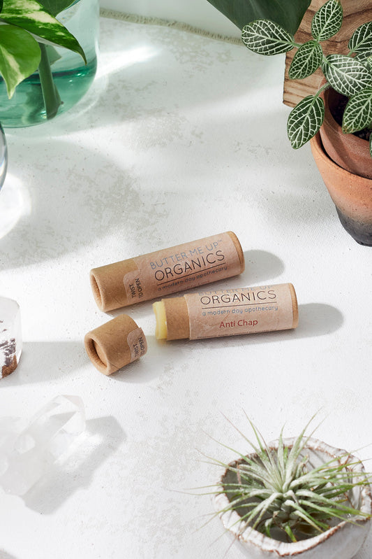 Organic Anti-Chap Lip Balm / Chapped Lips / Organic Lip Moisturizer / PAPERBOARD Tube - Homeland Harvest