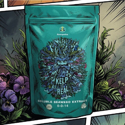 Growganica Kelp it Real Organic Soluble Seaweed 0-0-14 | Natural Plant Growth Stimulant & Fertilizer for Soil & Hydroponics