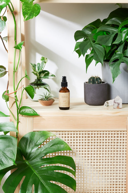 Organic Bug Spray / Mosquito Repellant / - Homeland Harvest