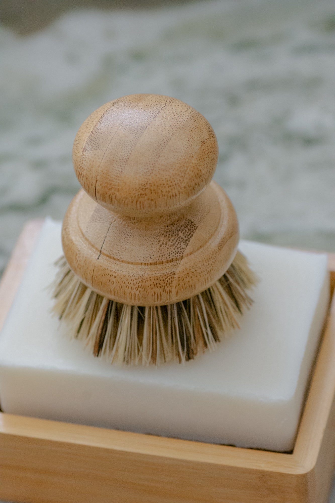 CASA AGAVE® Pot Brush - No Tox Life®