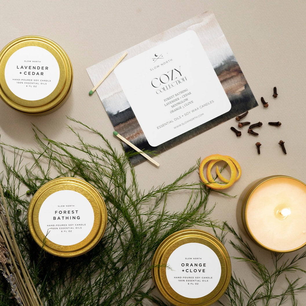 Cozy Collection - 4 Pack - Homeland Harvest