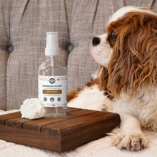 Deodorizing Pet Spray | The Between-Wash Wonder - Homeland Harvest