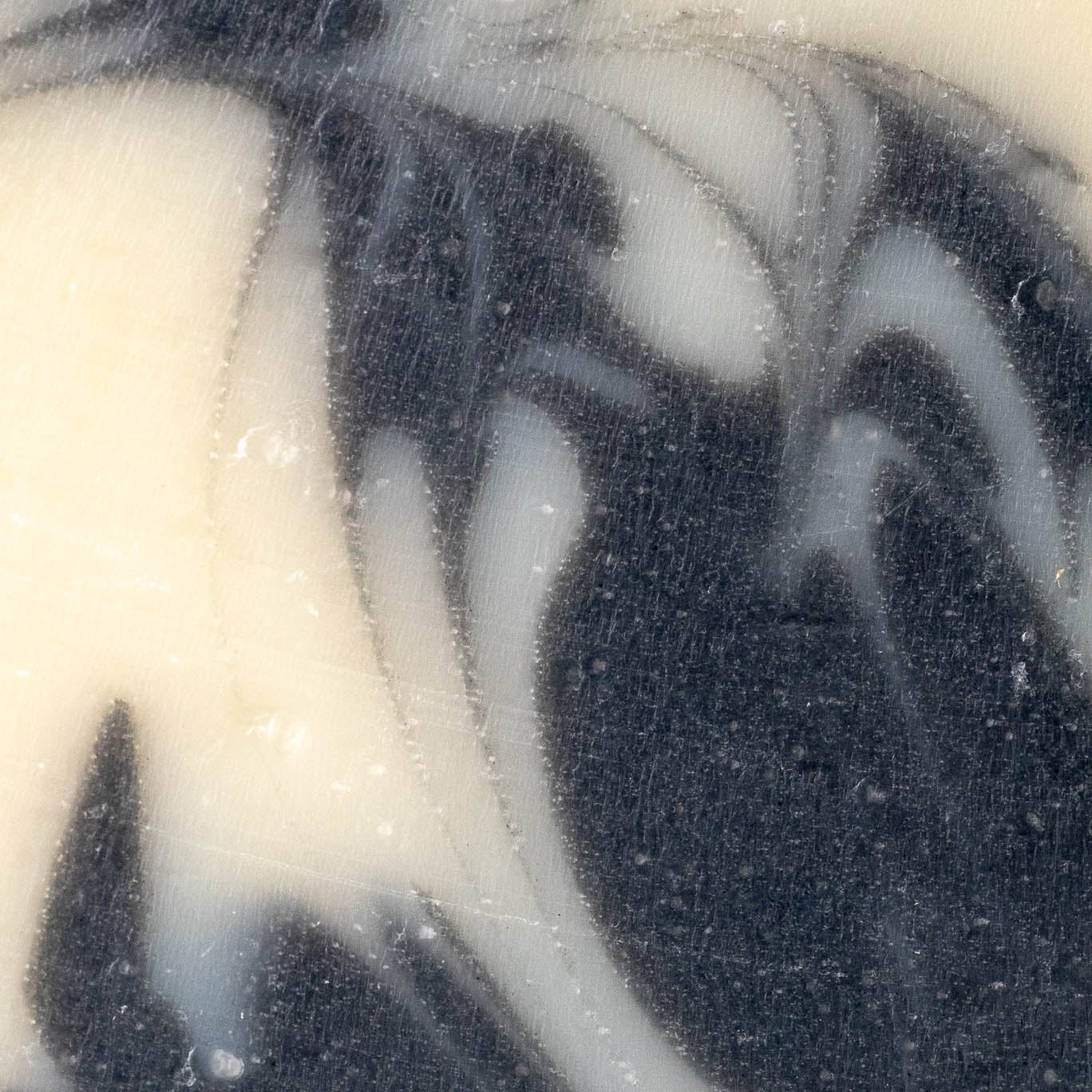 Bar Soap | Detoxifying Charcoal - Homeland Harvest