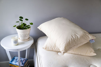 Down Alternative Pillow with Recycled Polyester Fill - Homeland Harvest