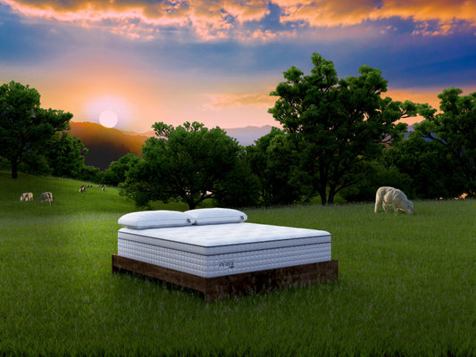 Evaya® Bliss Mattress - Homeland Harvest
