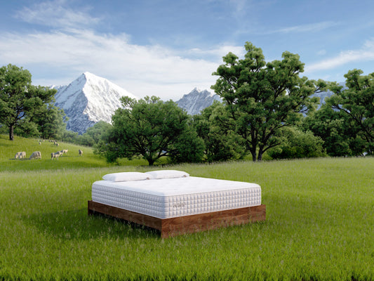 Evaya® Original Mattress - Homeland Harvest