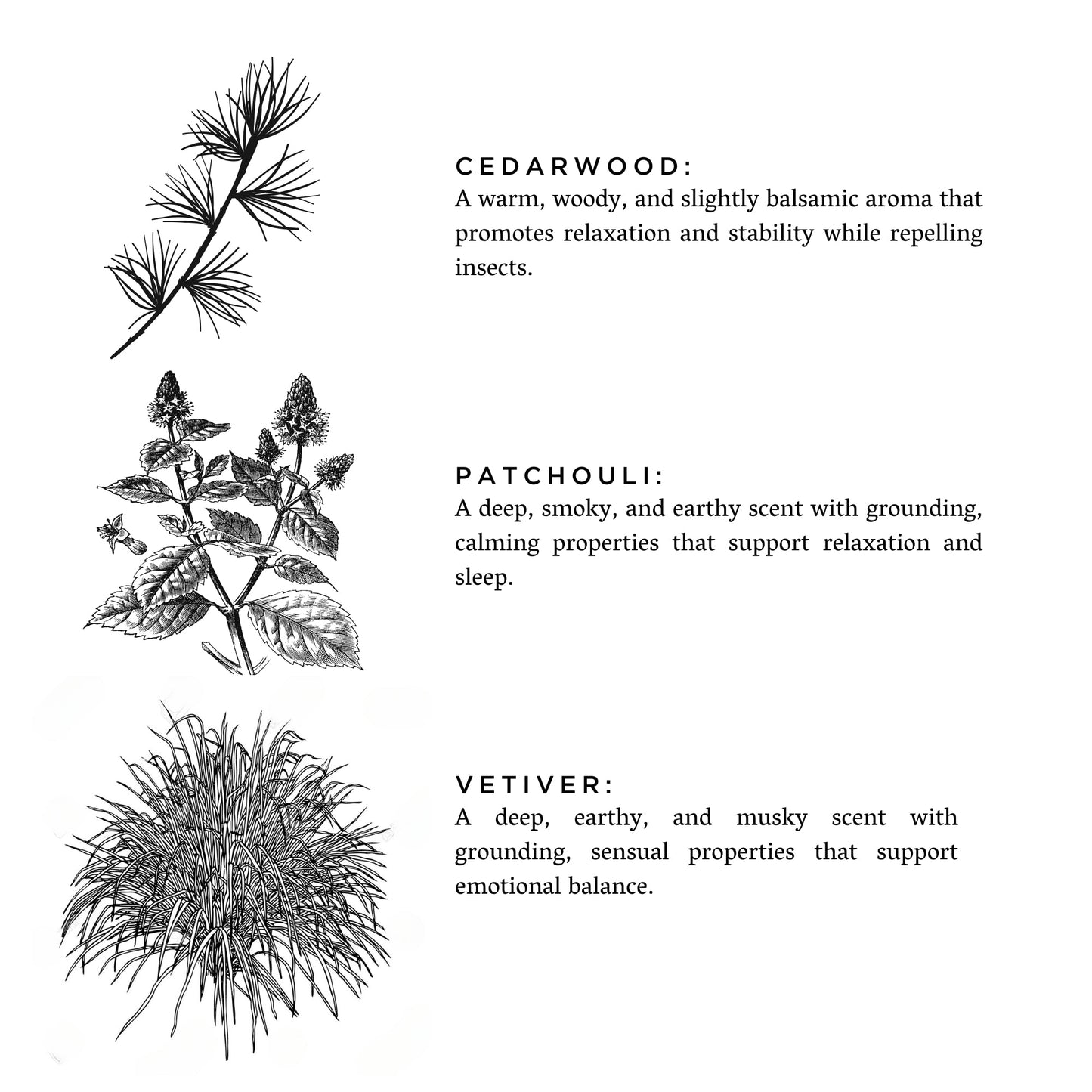 Embers + Leather - Signature Candle (Vetiver + Cedar + Patchouli) - Homeland Harvest