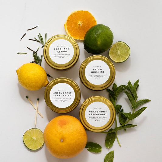 Fresh Collection - 4 Pack - Homeland Harvest