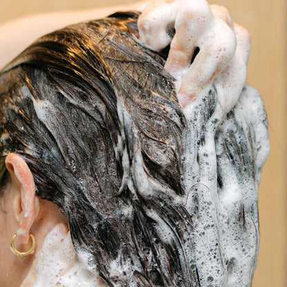 Tallow-Infused Shampoo & Conditioner