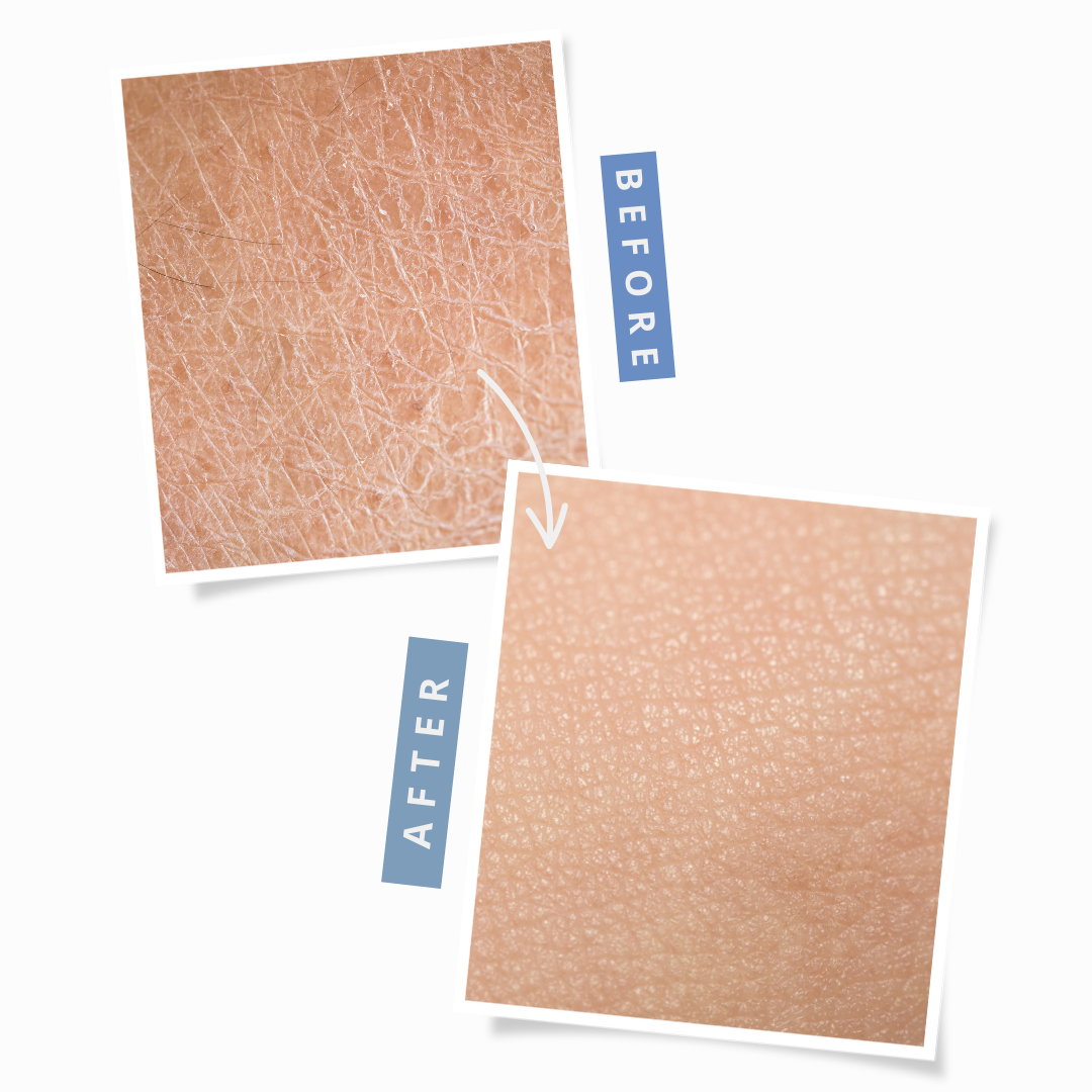 Daily Renewal Hand & Body Lotion